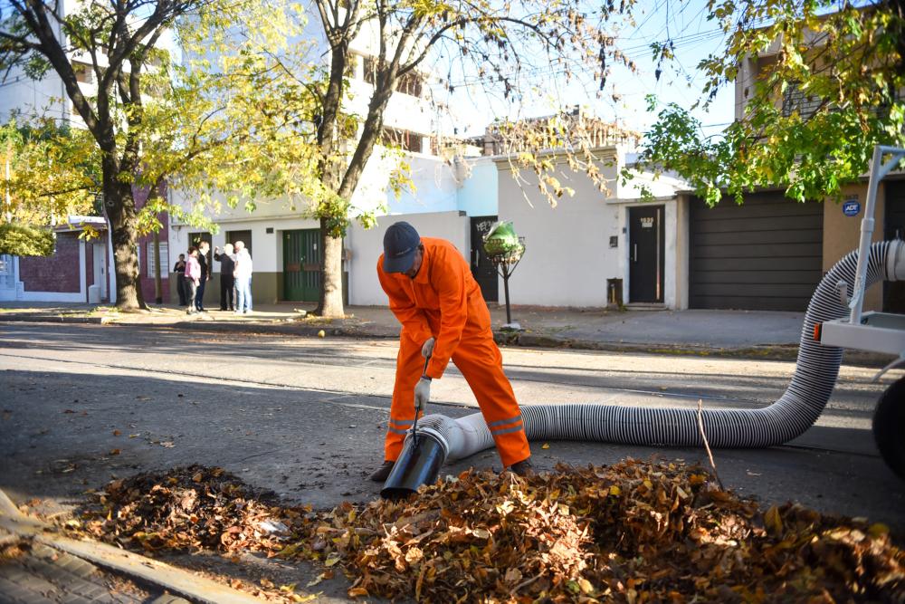 Motor, correas y volcador: así funcionan los nuevos equipos del Municipio para reforzar la limpieza de hojarasca