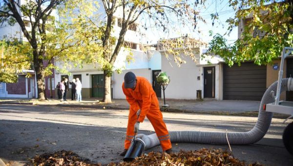Motor, correas y volcador: así funcionan los nuevos equipos del Municipio para reforzar la limpieza de hojarasca