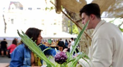 La Fiesta del Alcaucil llega a Los Hornos con platos típicos, clase de cocina y shows en vivo