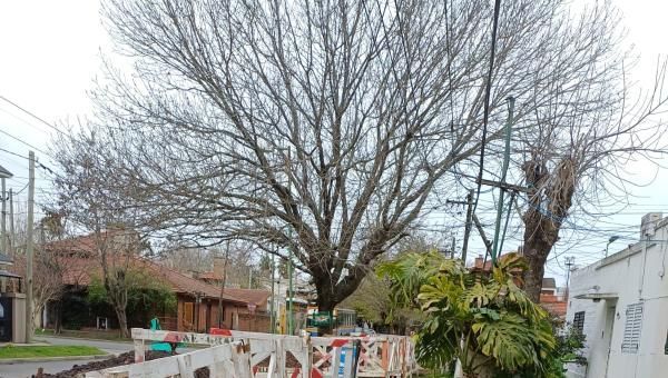 Edelap amplió la red que abastece a 4200 usuarios de City Bell y Gonnet