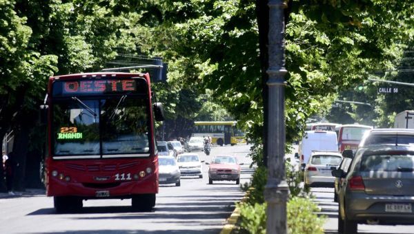 El transporte público de pasajeros será gratuito en La Plata el domingo de elecciones