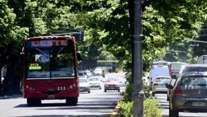 Balotaje presidencial: el domingo 19 el transporte público funcionará de manera gratuita en la ciudad