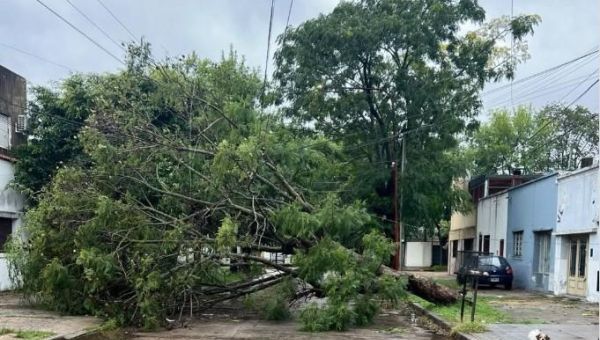 EDELAP informa sobre los daños provocados por la tormenta
